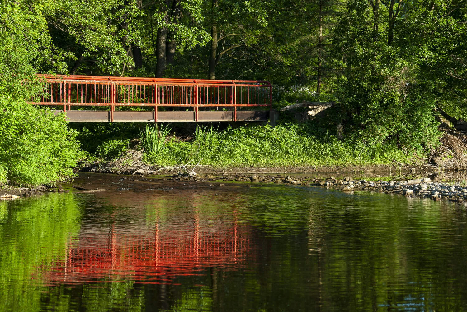 Top Tennessee Rivers to Visit in the Summer - Tennessee Lakes and Rivers